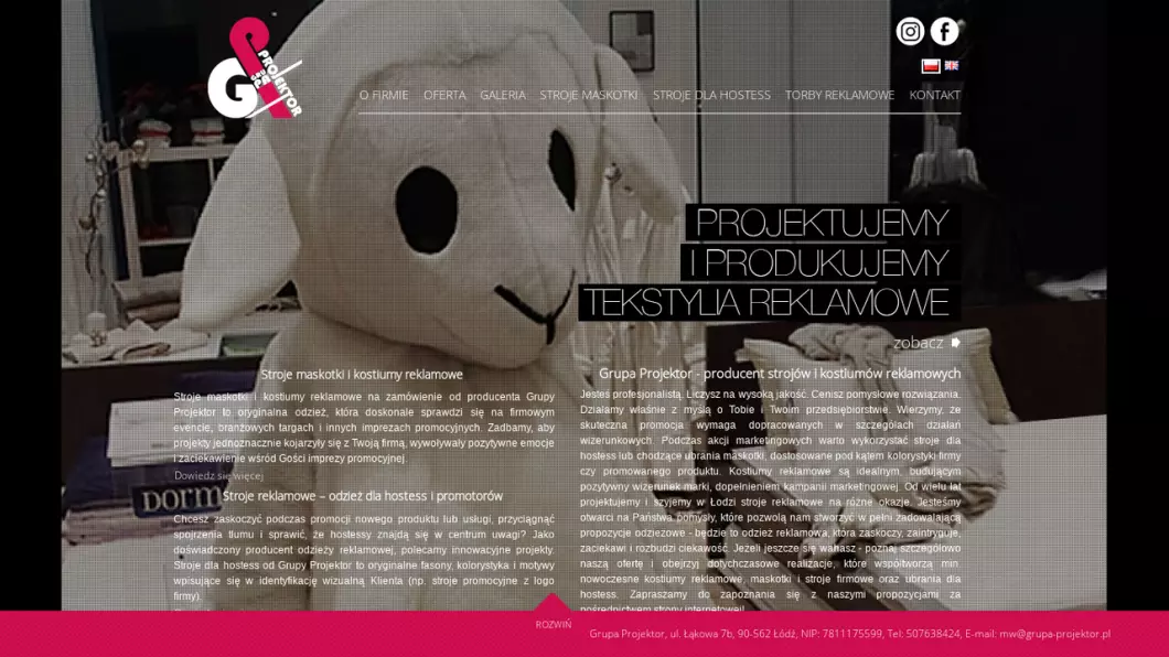 Kostiumy reklamowe producent | Grupa Projektor